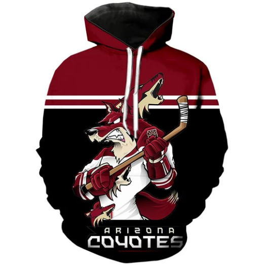 Arizona Coyotes Logo 3D Printed Pullover Hoodie