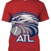 Atlanta Hawks Logo 3D Printed T-Shirt