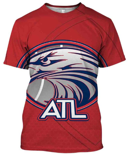 Atlanta Hawks Logo 3D Printed T-Shirt
